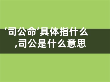 ‘司公命’具体指什么,司公是什么意思