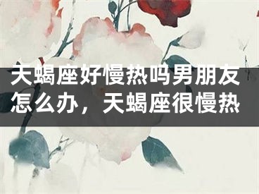天蝎座好慢热吗男朋友怎么办，天蝎座很慢热