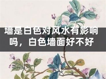 墙是白色对风水有影响吗，白色墙面好不好