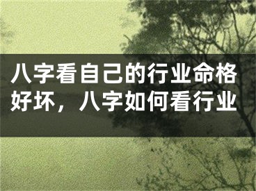 八字看自己的行业命格好坏，八字如何看行业