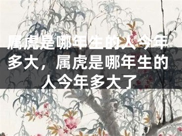 属虎是哪年生的人今年多大，属虎是哪年生的人今年多大了