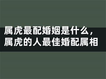 属虎最配婚姻是什么，属虎的人最佳婚配属相