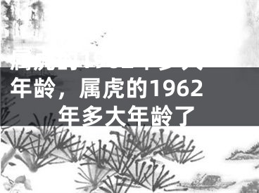 属虎的1962年多大年龄，属虎的1962年多大年龄了