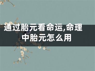 通过胎元看命运,命理中胎元怎么用