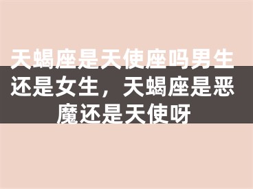 天蝎座是天使座吗男生还是女生，天蝎座是恶魔还是天使呀