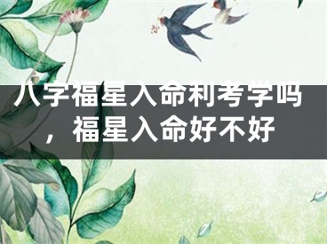 八字福星入命利考学吗，福星入命好不好