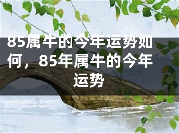 85属牛的今年运势如何，85年属牛的今年运势