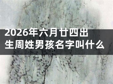 2026年六月廿四出生周姓男孩名字叫什么