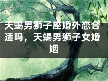 天蝎男狮子座婚外恋合适吗，天蝎男狮子女婚姻