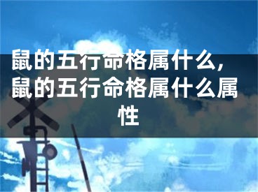 鼠的五行命格属什么,鼠的五行命格属什么属性