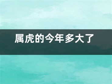 属虎的今年多大了