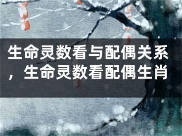生命灵数看与配偶关系，生命灵数看配偶生肖