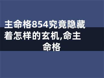 主命格854究竟隐藏着怎样的玄机,命主 命格