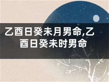 乙酉日癸未月男命,乙酉日癸未时男命