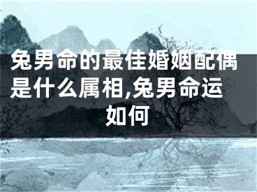 兔男命的最佳婚姻配偶是什么属相,兔男命运如何
