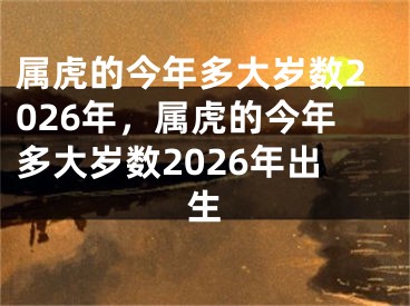 属虎的今年多大岁数2026年，属虎的今年多大岁数2026年出生