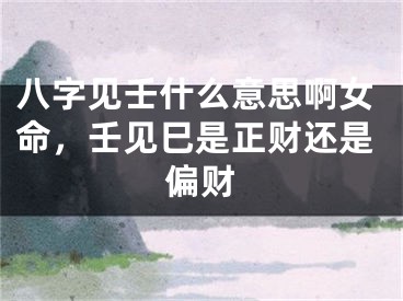 八字见壬什么意思啊女命，壬见巳是正财还是偏财