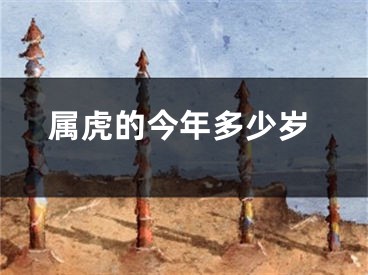 属虎的今年多少岁
