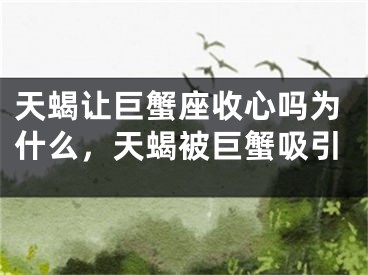 天蝎让巨蟹座收心吗为什么，天蝎被巨蟹吸引