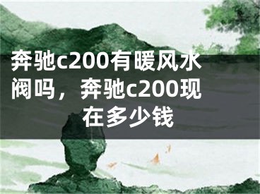 奔驰c200有暖风水阀吗，奔驰c200现在多少钱