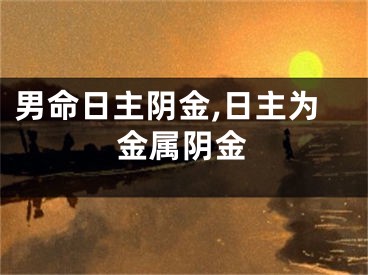 男命日主阴金,日主为金属阴金
