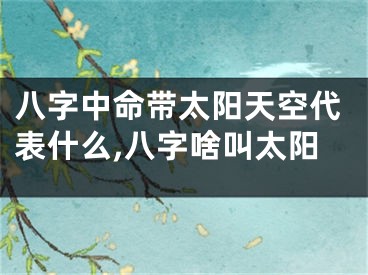 八字中命带太阳天空代表什么,八字啥叫太阳