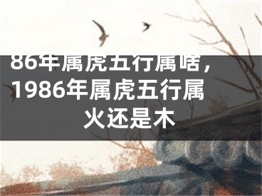 86年属虎五行属啥,1986年属虎五行属火还是木