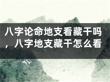 八字论命地支看藏干吗，八字地支藏干怎么看