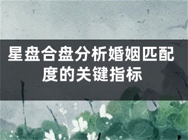 星盘合盘分析婚姻匹配度的关键指标