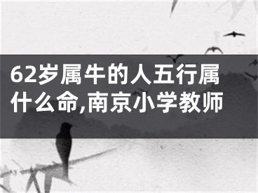 62岁属牛的人五行属什么命,南京小学教师