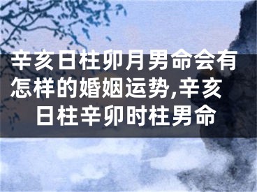 辛亥日柱卯月男命会有怎样的婚姻运势,辛亥日柱辛卯时柱男命
