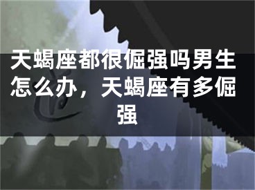 天蝎座都很倔强吗男生怎么办，天蝎座有多倔强