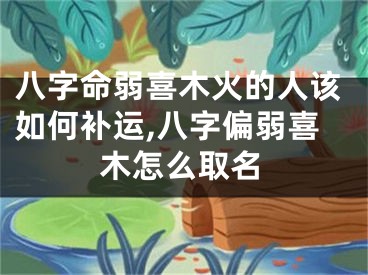 八字命弱喜木火的人该如何补运,八字偏弱喜木怎么取名