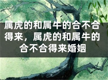 属虎的和属牛的合不合得来，属虎的和属牛的合不合得来婚姻