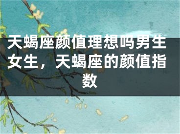 天蝎座颜值理想吗男生女生，天蝎座的颜值指数
