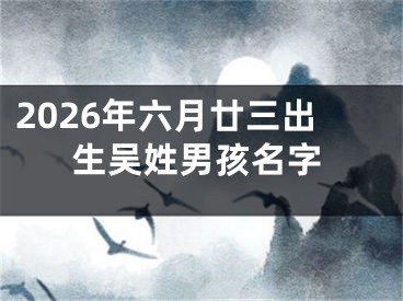 2026年六月廿三出生吴姓男孩名字