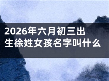 2026年六月初三出生徐姓女孩名字叫什么