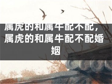 属虎的和属牛配不配，属虎的和属牛配不配婚姻
