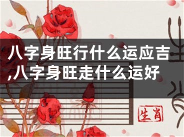 八字身旺行什么运应吉,八字身旺走什么运好