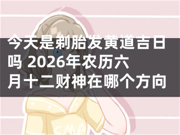 今天是剃胎发黄道吉日吗 2026年农历六月十二财神在哪个方向