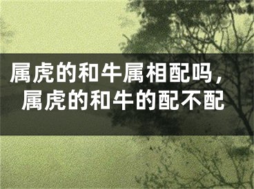 属虎的和牛属相配吗，属虎的和牛的配不配