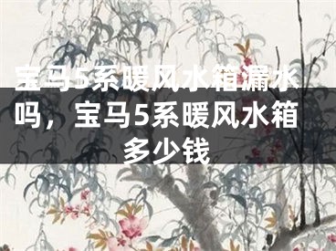 宝马5系暖风水箱漏水吗，宝马5系暖风水箱多少钱