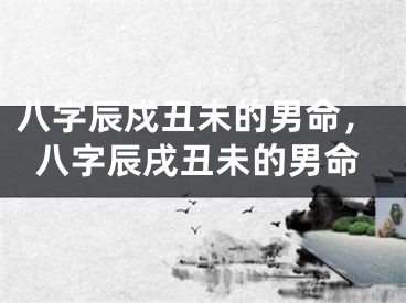 八字辰戍丑未的男命，八字辰戌丑未的男命