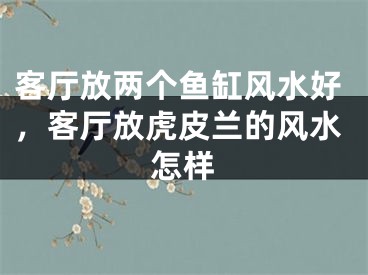 客厅放两个鱼缸风水好,客厅放虎皮兰的风水怎样