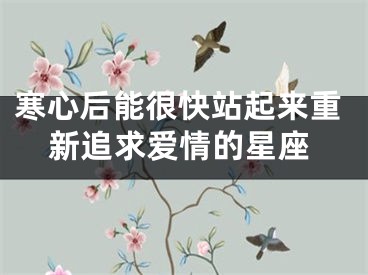 寒心后能很快站起来重新追求爱情的星座