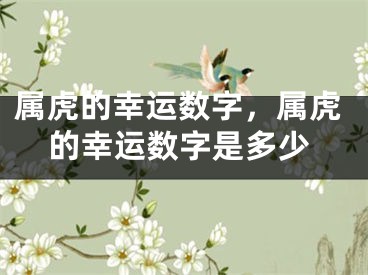 属虎的幸运数字，属虎的幸运数字是多少
