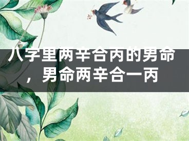 八字里两辛合丙的男命，男命两辛合一丙