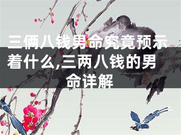 三俩八钱男命究竟预示着什么,三两八钱的男命详解