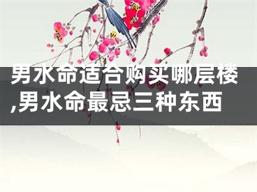 男水命适合购买哪层楼,男水命最忌三种东西