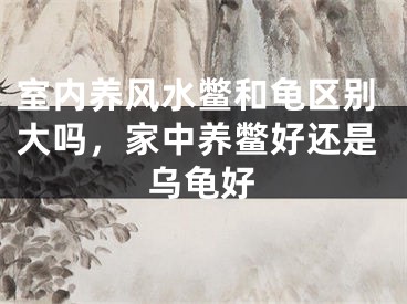 室内养风水鳖和龟区别大吗，家中养鳖好还是乌龟好